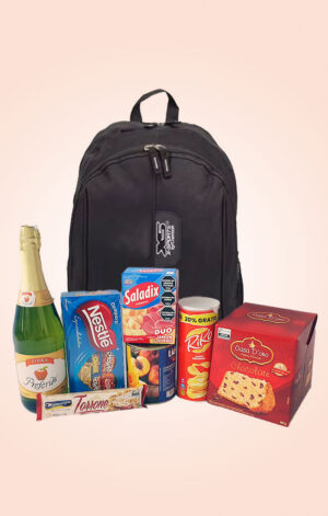 Mochila Executiva