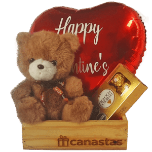 Pack Oso Choco-Brown